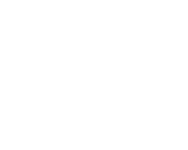 Annie's Guest House